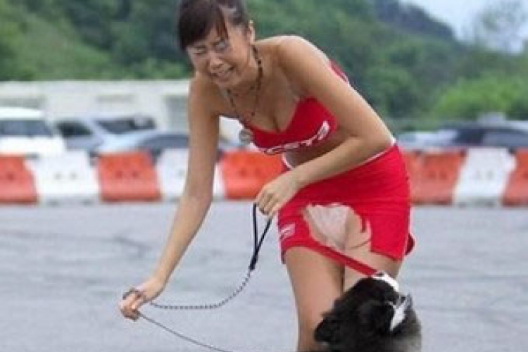 Vigyázz! A kutya vetkőztet! :)