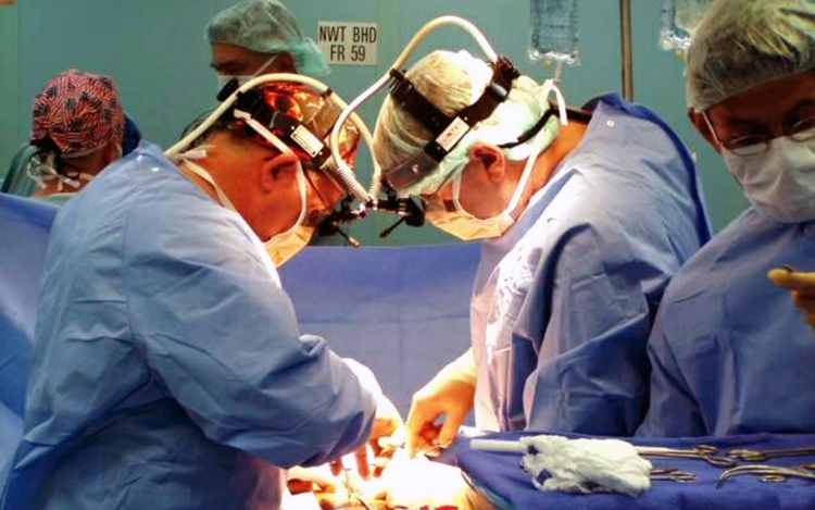 Csaknem ötszáz szervátültetést végeztek tavaly Magyarországon