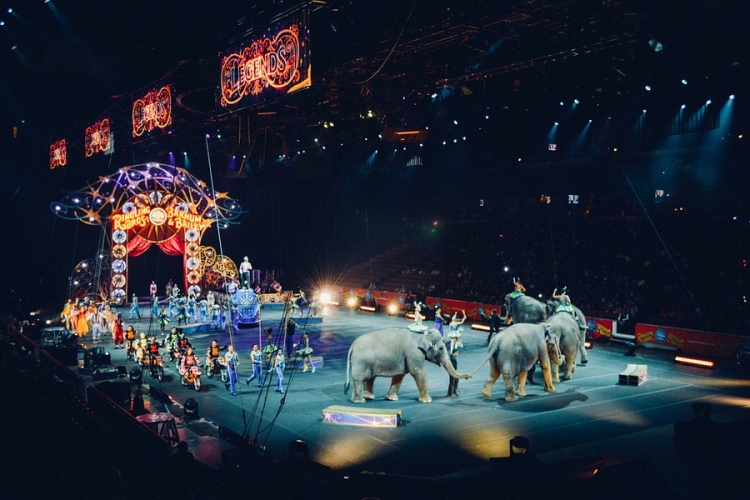 Januárban rendezik meg a XII. Budapest Nemzetközi Cirkuszfesztivált