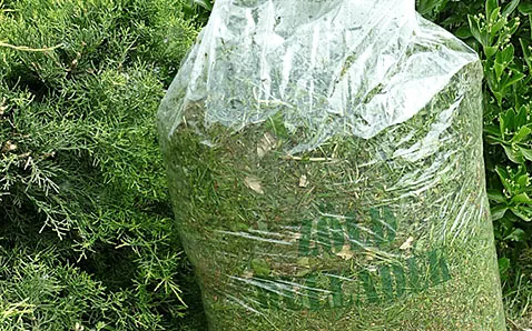 Márciustól házhoz mennek a zöldhulladékért