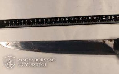 Egy család megölésére készült a börtönből szabadult pápai férfi