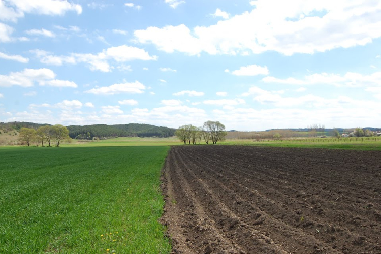 A szántásba menekült