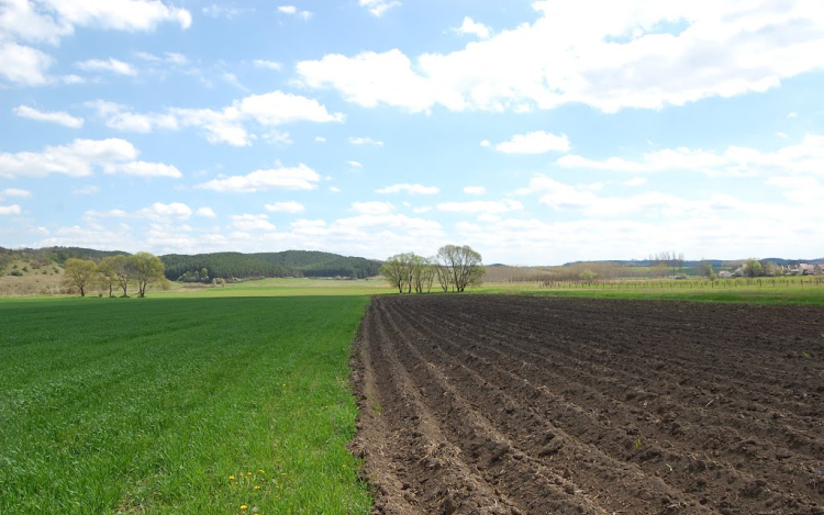 A szántásba menekült