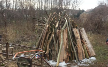 Kézikocsin tolta a lopott fát
