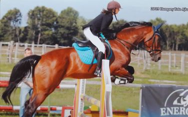 Számos érmet gyűjtöttek a pápai lovasok