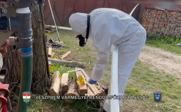Kis híján megölte a saját édesanyját a Pápa környéki faluban! - Videó