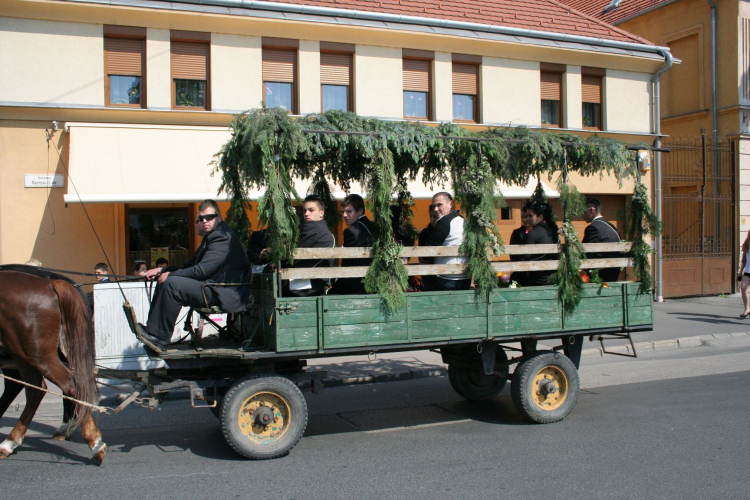 Városi Ballagás 2014 - Pápa