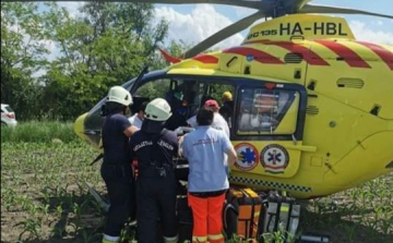 Fának csapódott egy autó Kajárpéc és Gyömöre között