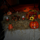 Szent Márton-napi Újbor Ünnepe - Pápa - 2018