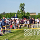 2 x CAC Nemzeti Kutyakiállítás – Pápa