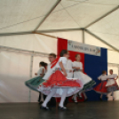 Vajda Péter Lakótelepi Nap