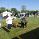 2 x CAC Nemzeti Kutyakiállítás – Pápa