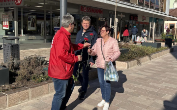 Piros szegfűvel köszöntik a nőket, immáron 35 éve