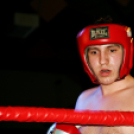 Küzdősport Gála a Sportcsarnokban