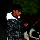 Flashmob az Állatok Világnapján - Pápa