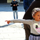 Múzeumok Őszi Fesztiválja - Családi Nap Pápán