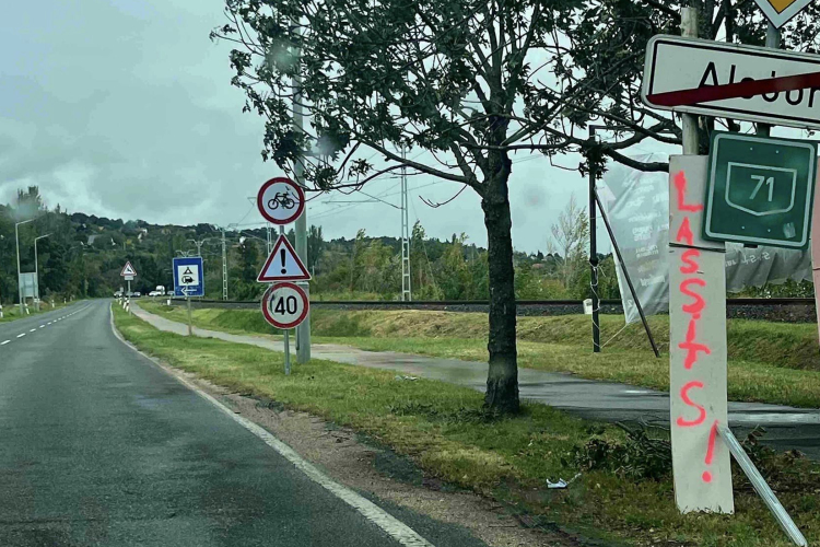 Veszélyben a fecskék, vezetés közben is figyeljünk rájuk!