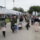 Pápai Agrárexpo 2017 - Szombat