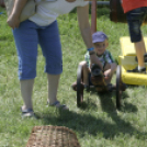 XX. Pápai Agrárexpo - Városi Gyermeknap