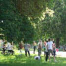 Volán Rallye Historic - Pápa