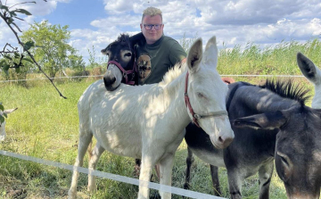 Újra adománygyűjtő körútra indul a szamaras fiú - Pápára jön elsőként