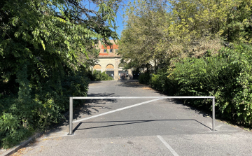 Vagyonkezelő: A Platán előtti terület soha nem is volt parkoló