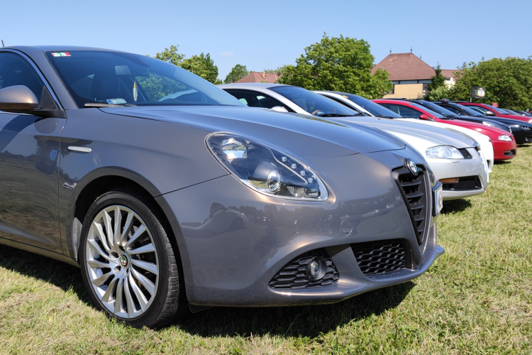 Csaknem 300 ezer forintot gyűjtöttek össze az Alfások egy beteg gyermekeket segítő alapítvány számára