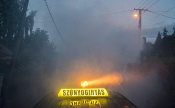 Kedden szúnyogírtás lesz Pápán