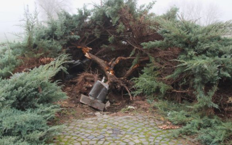 Egy pápai férfi döntötte le autójával a győri Radnóti-szobrot