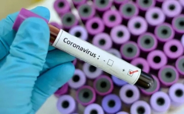 Ideiglenes pápai lakcímmel rendelkezik egy koronavírusból kigyógyult személy