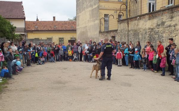 Nyílt nap a Pápai Rendőrkapitányságon