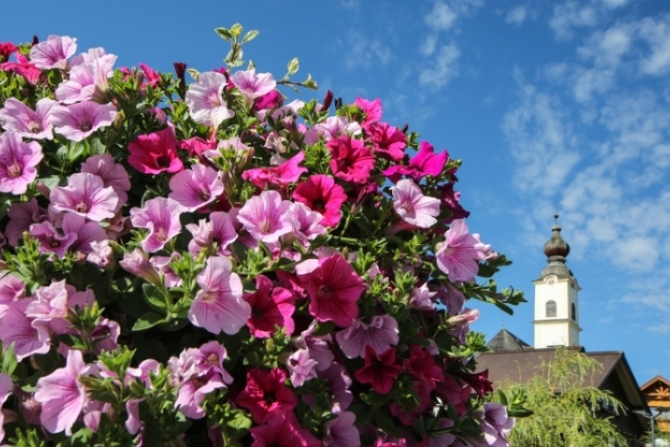 Átadták az idei Virágos Magyarország díjatakat