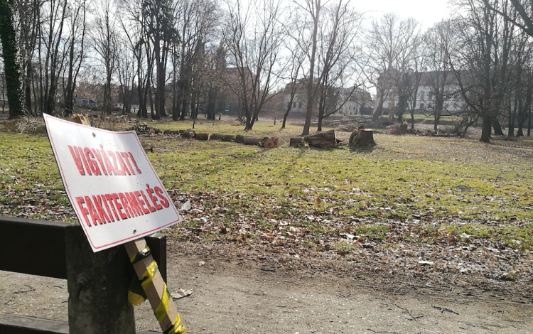 Gépek zajától hangos a jelentősen átalakuló Várkert