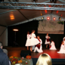 Szent Márton-napi Újbor Ünnepe - Pápa - 2018