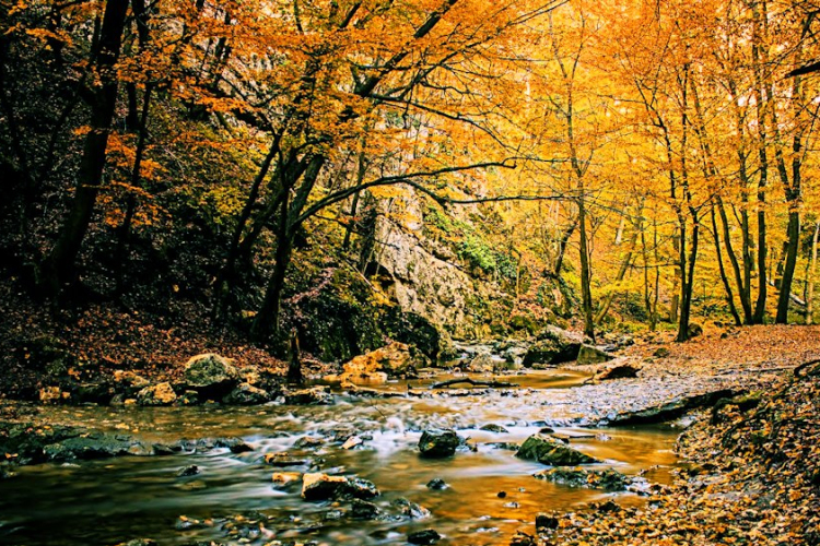 Dobogós az ország legszebb erdei között a Cuha völgye