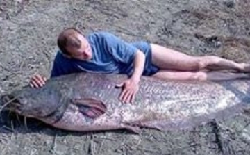 216 centi, 98 kiló - rekordharcsát fogott egy kaposvári horgász