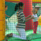 Vajda Péter Lakótelepi Nap