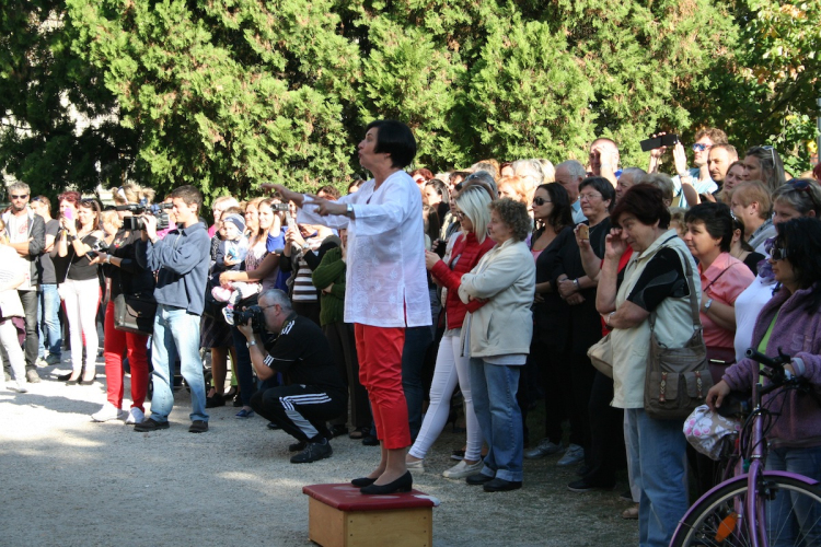 Zene Világnapja - Pápa