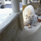 Havazás - Ahogy olvasóink látják