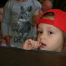 Dé-Mol: Az Elvarázsolt Erdő a Jókai Mór Városi Könyvtárban