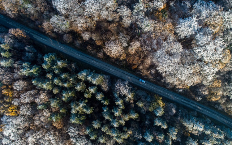 Karácsonykor fordulhat téliesebbre az időjárás