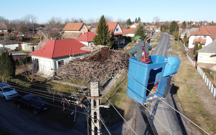 Csaknem 4500 fészektartóval várja az E.ON a gólyákat