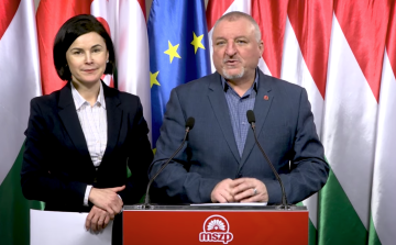 Megnevezte 2024-es pápai polgármesterjelöltjét az MSZP