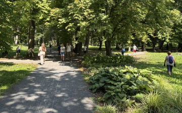 Közösségi összefogásban takarították el civilek a viharkárokat a Várkertben