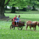 Pápai Játékfesztivál 2019 - Szombat Délután 