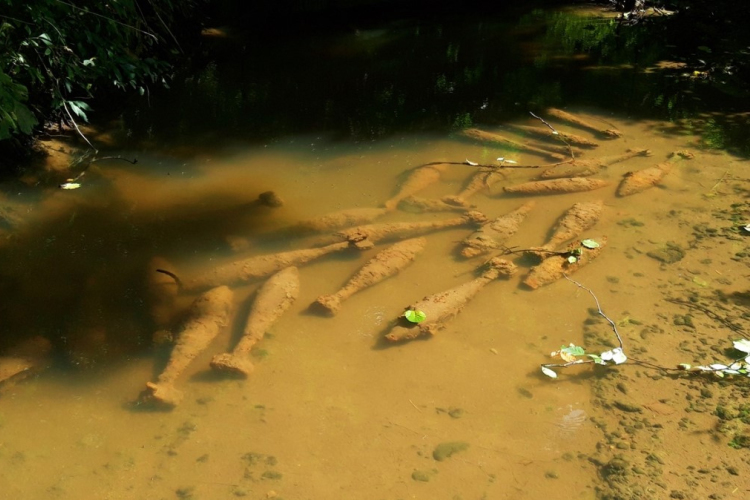 Világháborús robbanótestek tömege rajzolódik ki a Gerence patakban Bakonybélnél