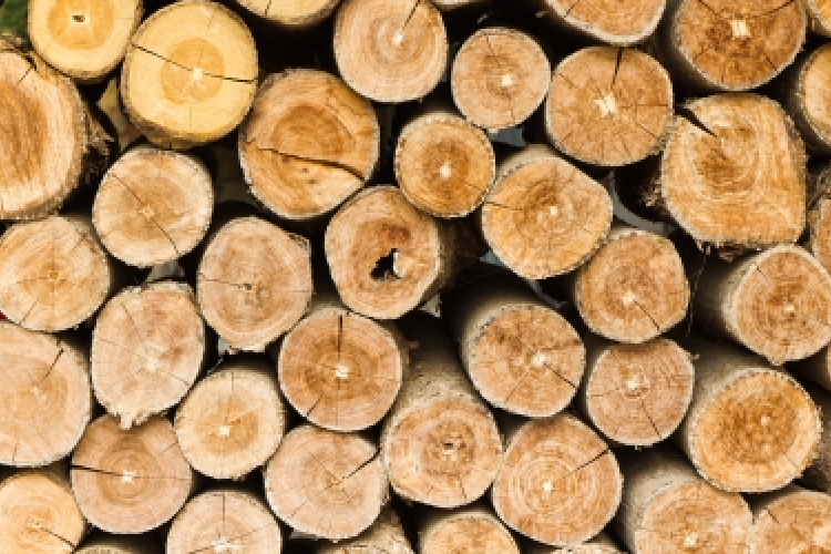 Rezsicsökkentés - A Fidesz a fatüzelést, széntüzelést használó családok terheit is csökkentené