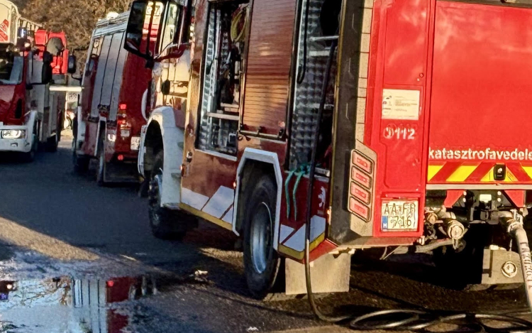 Több hektáron égett az aljnövényzet Nagydémen