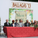 Városi ballagás - Pápa - 2013