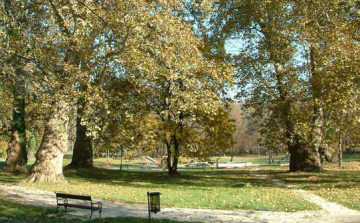 Zöld város projekt: Csütörtökön lakossági fórumot tartanak a Várkertben!